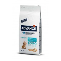 Advance Medium Puppy - сухой корм для щенков, курица и рис