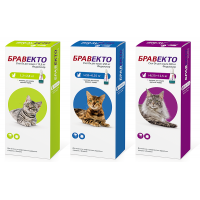 Бравекто Спот-он (Bravecto Spot-on) Капли на холку для кошек