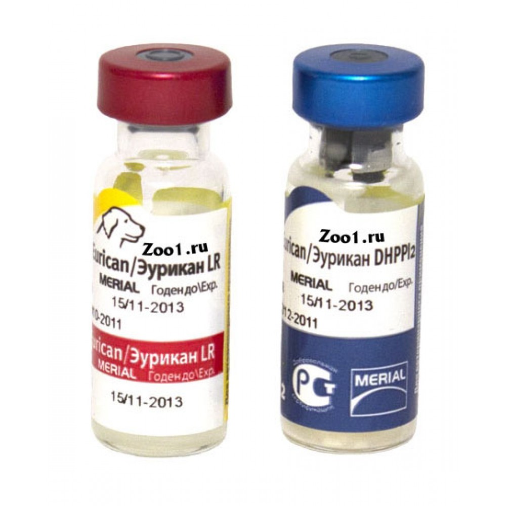 Вакцина для собак l. Эурикан LR И dhppi2. Эурикан dhppi2. Эурикан DHPPI+Lepto. Эурикан 2 RL.