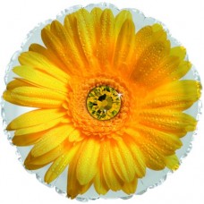 Шар Жёлтая гербера круг 46см