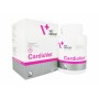Кардиовет для собак (Cardiovet кардиопротектор 90 табл) VetExpert Кардиовет для собак (Cardiovet кардиопротектор 90 табл) VetExpert