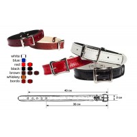 Redplastic Ошейник Zoo-M Классика 20 мм, 30-40 см (арт. 110009)