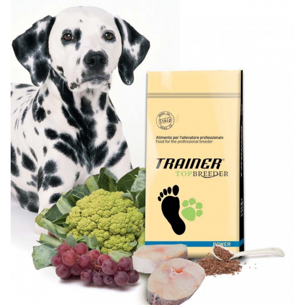 Trainer Power Energy - корм для взрослых собак c высоким уровнем активности и в период восстановления, с лососем Trainer Power Energy - корм для взрослых собак c высоким уровнем активности и в период восстановления, с лососем