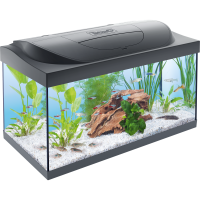 Tetra Line Tank LED black-Аквариумный комплект (на 54 л или 80 л)