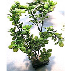 Пластиковое аквариумное растение, 20 см. (арт. TYZB7)
