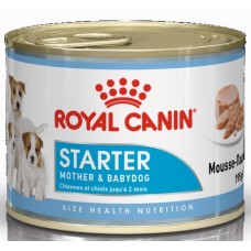 Royal Canin Starter Mousse - корм для щенков до 2-х месяцев и беременных сук Royal Canin Starter Mousse - корм для щенков до 2-х месяцев и беременных сук
