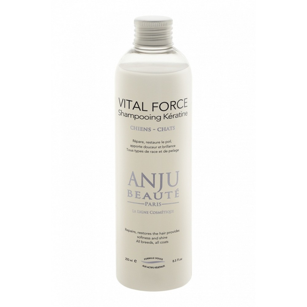 ANJU BEAUTE Шампунь Кератиновый для восстановления и увлажнения поврежденной шерсти у кошек ANJU BEAUTE Шампунь Кератиновый для восстановления и увлажнения поврежденной шерсти у кошек