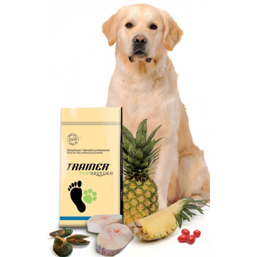 Trainer Power Adult Salmon - корм для взрослых собак всех пород с лососем Trainer Power Adult Salmon - корм для взрослых собак всех пород с лососем