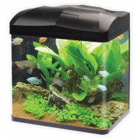 Haqos Аквариум изогнутый из стекла (38 x 26 x 41.5 сm), 30 л