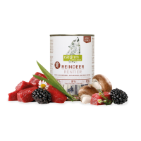 Isegrim Adult Forest Reindeer - консервы для собак с мясом северного оленя, черникой, грибами и лесными травами, 400 гр. (арт. TYZ 95716)