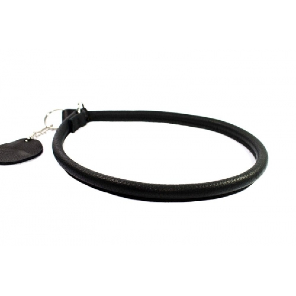 Ошейник-удавка CoLLaR рывковый для собак (ширина 6 мм, длина 25 см), (арт. 75081) Ошейник-удавка CoLLaR рывковый для собак (ширина 6 мм, длина 25 см), (арт. 75081)