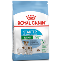 Royal Canin Mini Starter - сухой корм для щенков