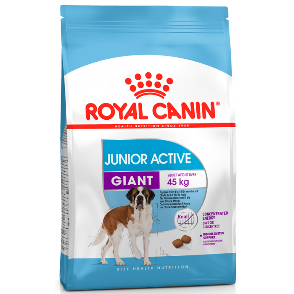 Royal Canin Giant Junior Active - корм для активных щенков Royal Canin Giant Junior Active - корм для активных щенков