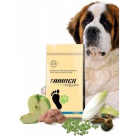 Trainer Power Adult Maxi - корм для взрослых собак крупных и особо крупных пород, с мясом курицы и индейки