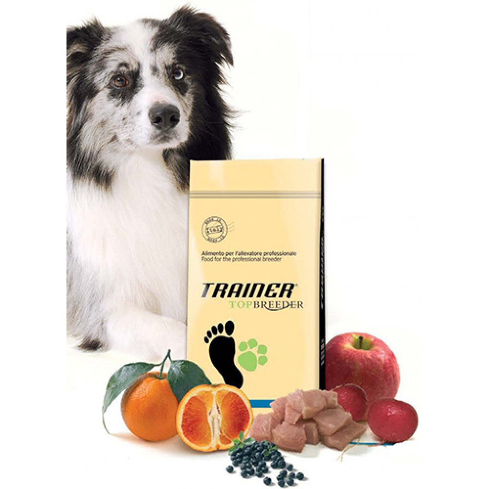 Trainer Power Adult Medium - для взрослых собак средних пород, с мясом курицы и индейки Trainer Power Adult Medium - для взрослых собак средних пород, с мясом курицы и индейки
