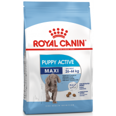 Royal Canin Maxi PUPPY Active - корм для активных щенков крупных пород. Royal Canin Maxi PUPPY Active - корм для активных щенков крупных пород.