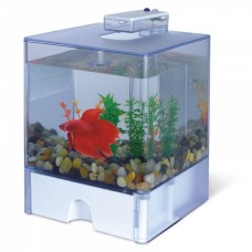Triol Аквариум Aqua Box Betta для петушков (3 л) 15*15*17 см