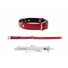 Redplastic Ошейник «Брайт-Опцион» 2 слоя, 48-60см*30 мм, красный (арт. 710631) Redplastic Ошейник «Брайт-Опцион» 2 слоя, 48-60см*30 мм, красный (арт. 710631)