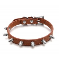 ДиАнКари Ошейник для кошек с шипами, 2.5*60 см. (арт. DK CL031-4)