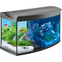 Tetra AquaArtll LED Aquarium Set anthr - аквариумный комплект 100 л, антрацит