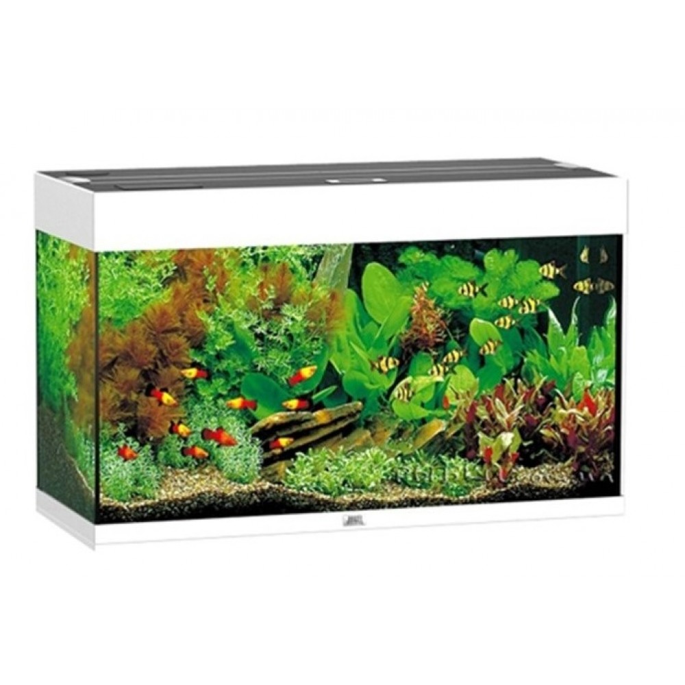 JUWEL Аквариум Rio, 125 л, цвет темного дерева (арт. TYZ 1700) JUWEL Аквариум Rio, 125 л, цвет темного дерева (арт. TYZ 1700)