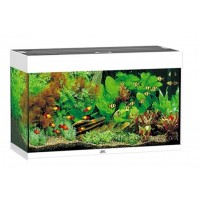 JUWEL Аквариум Rio, 125 л, цвет темного дерева (арт. TYZ 1700)