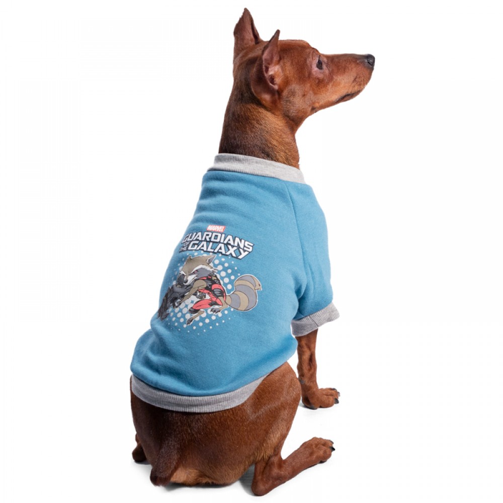 Triol-Disney Толстовка для собак - Marvel Ракета Triol-Disney Толстовка для собак - Marvel Ракета