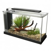 Аквариум Fluval SPEC V 19 л (разные цвета)