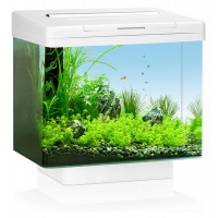 JUWEL Аквариум Vio 40 LED, 30 л,черный (арт. TYZ 20040)