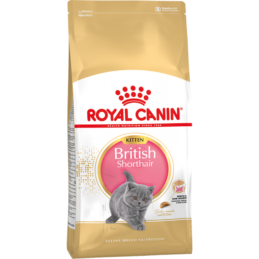 Royal Canin British Shorthair Kitten - корм для британских котят Royal Canin British Shorthair Kitten - корм для британских котят