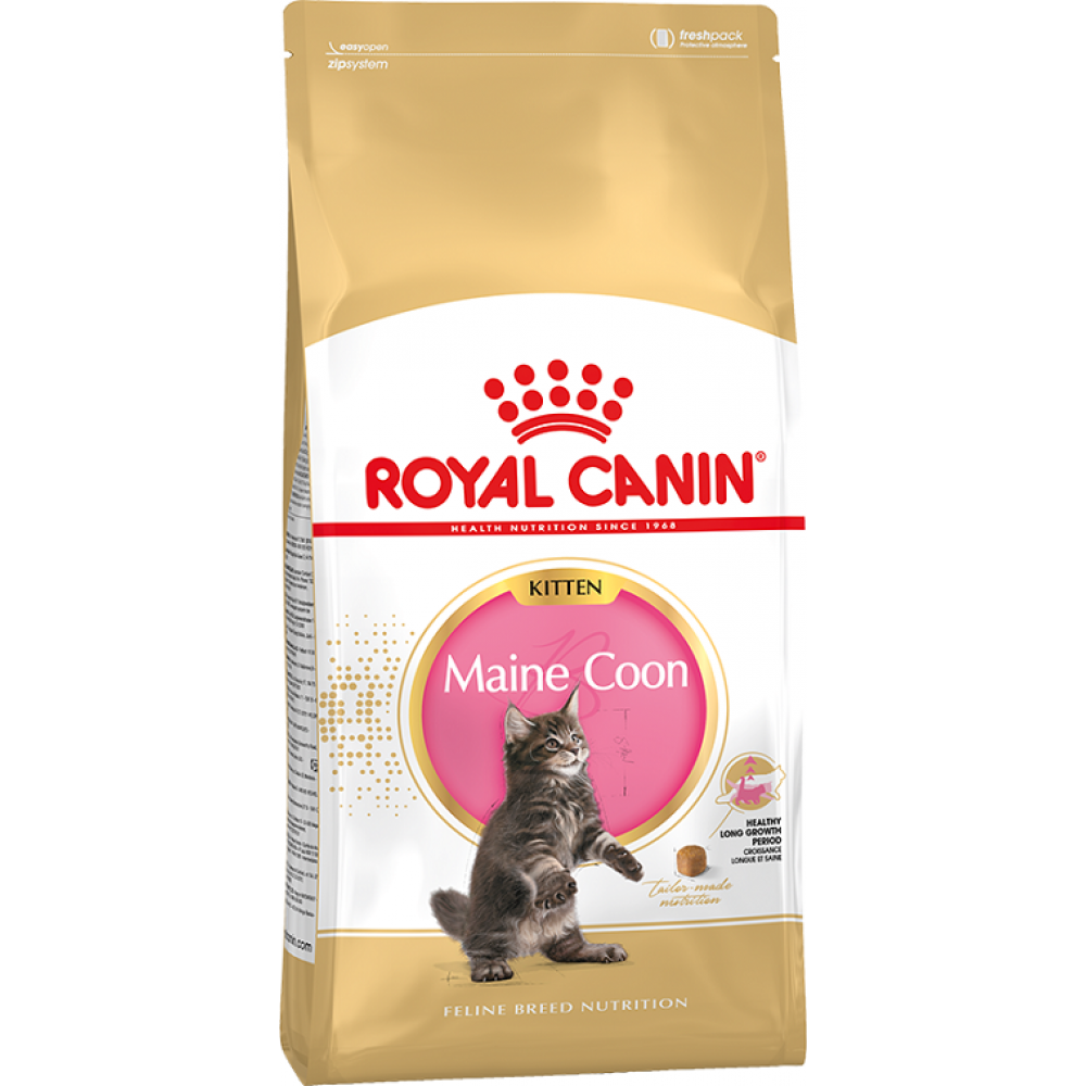 Maine Coon Royal Canin Kitten - сухой корм для котят Maine Coon Royal Canin Kitten - сухой корм для котят