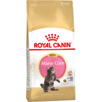 Maine Coon Royal Canin Kitten - сухой корм для котят