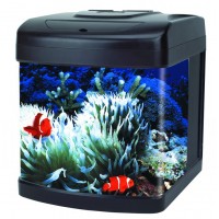 Haqos Аквариум из стекла DELUXE (31 x 32 x 37 сm), 26 л, черный (арт. ХЭП KIT7)