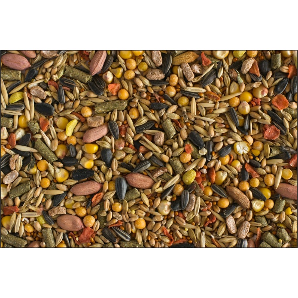 Хрум-хрум - кормовая смесь для декоративных хомяков, 25 кг (арт. HR0014) Хрум-хрум - кормовая смесь для декоративных хомяков, 25 кг (арт. HR0014)