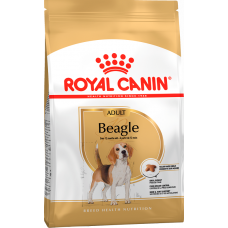 Royal Canin Beagle - сухой корм для взрослых биглей Royal Canin Beagle - сухой корм для взрослых биглей
