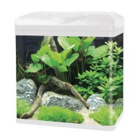 Haqos Аквариум изогнутый из стекла (48 x 27.5 x 46.5 сm), 49 л, разные цвета