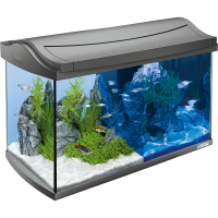 Tetra AguaArt LED Aquarium-Set - Аквариумный комплект, 60 л (несколько вариантов)
