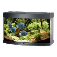 JUWEL Аквариум Vision, 180 л, разные цвета (арт. TYZ 9700)