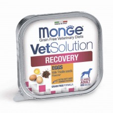 Monge RECOVERY VetSolution Dog - консервы для собак (150 г)