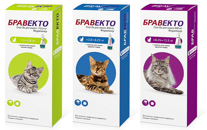 Купить Бравекто Спот-он (Bravecto Spot-on) Капли на холку для кошек на ...