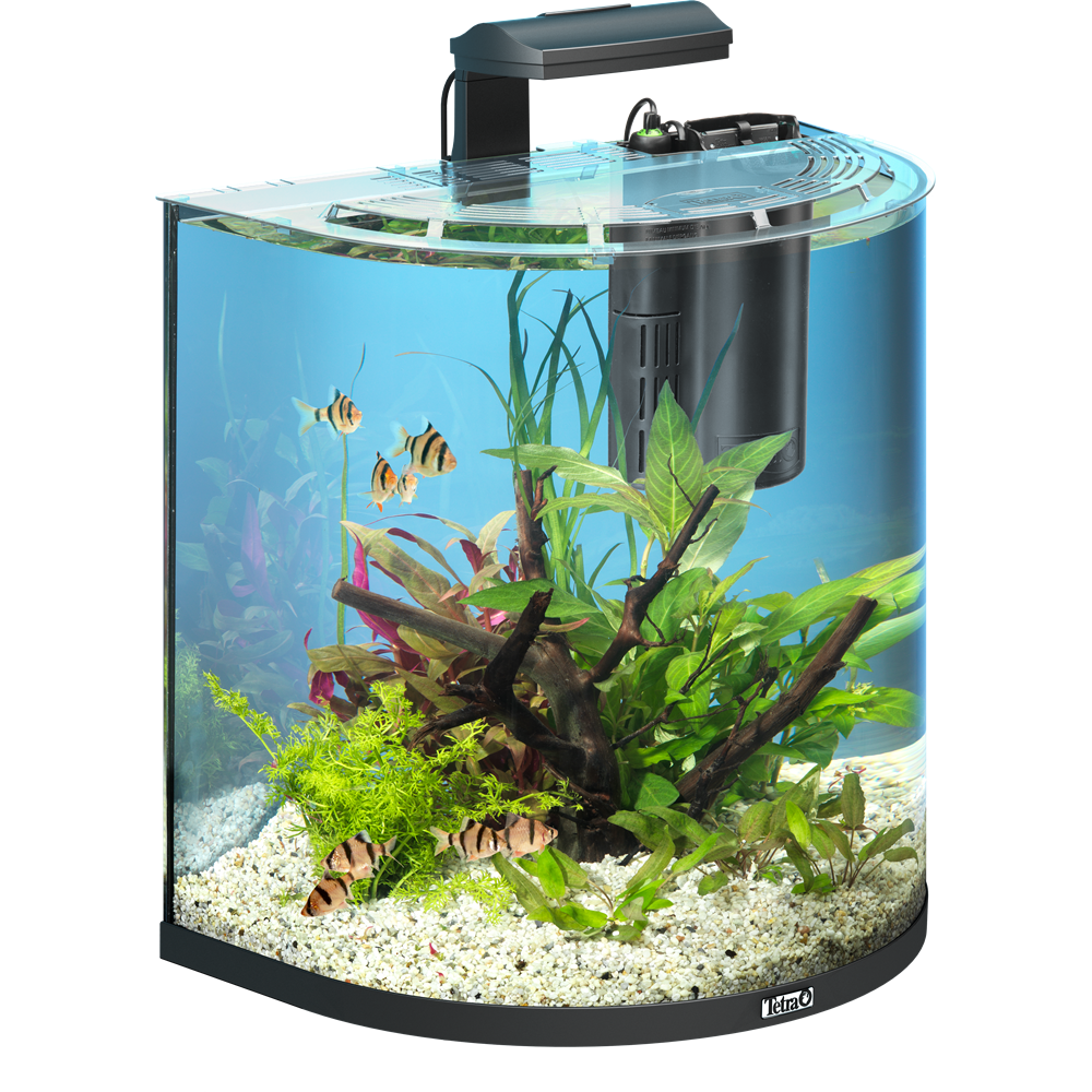 Tetra AQUAART Explorer line led 60 л - аквариумный комплекс "полумесяц". Tetra AQUAART Explorer line Tropical 60л. Аквариум Tetra AQUAART 60l led Tropical. 60 Л Tetra AQUAART led Explorer line Tropical.